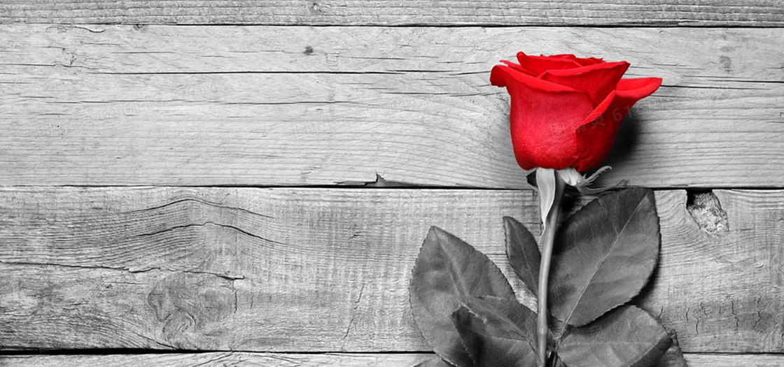 木板上的一只玫瑰花背景