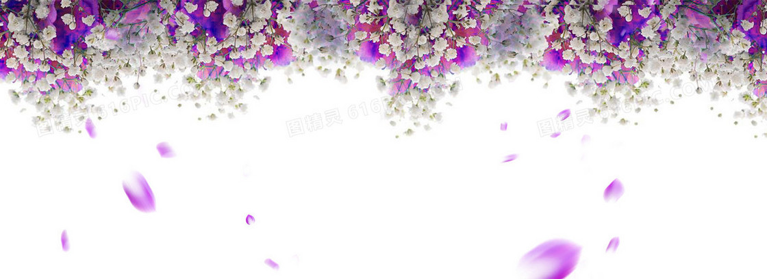 紫色浪漫花瓣淘宝背景