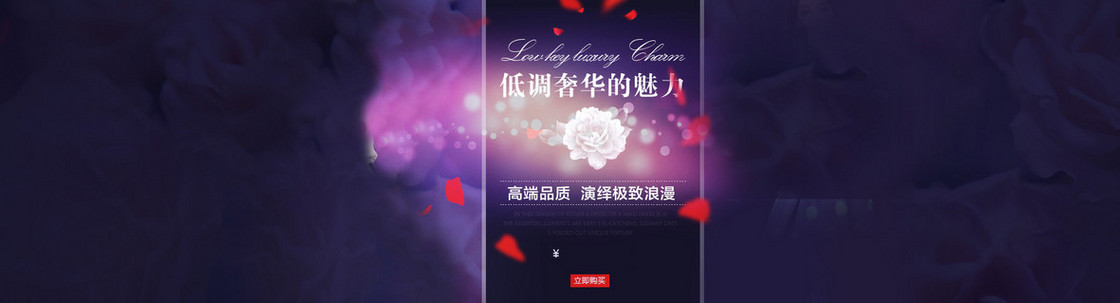 奢华女装背景