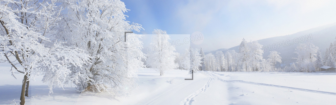 冬季雪地背景