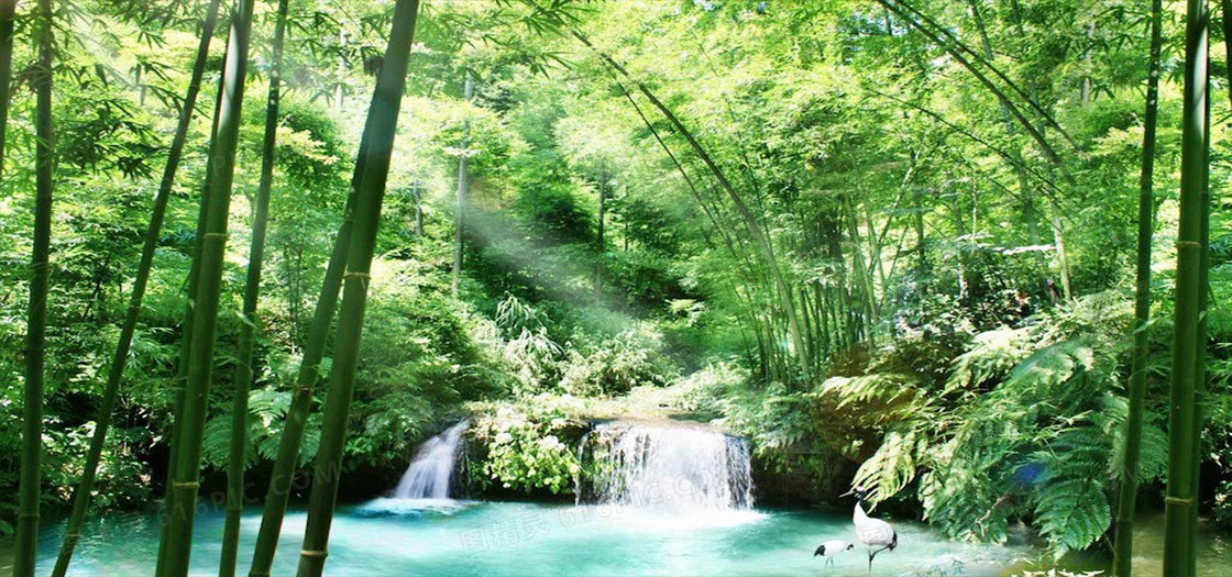 林中瀑布美景