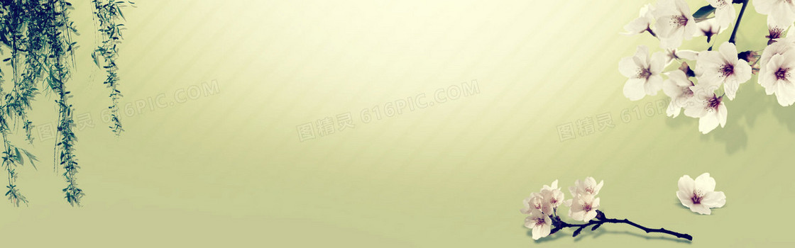 冬梅夏柳背景