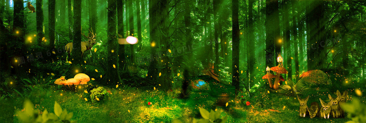 唯美阳光树林背景背景图片下载_1920x900像素jpg格式
