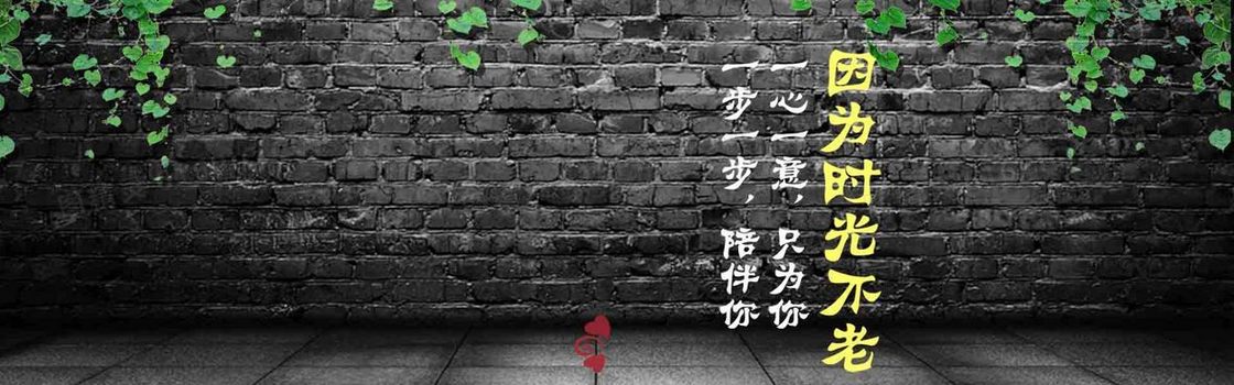 时光不老