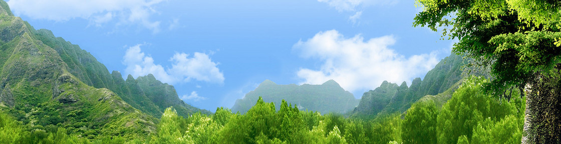 远山风景画海报banner背景