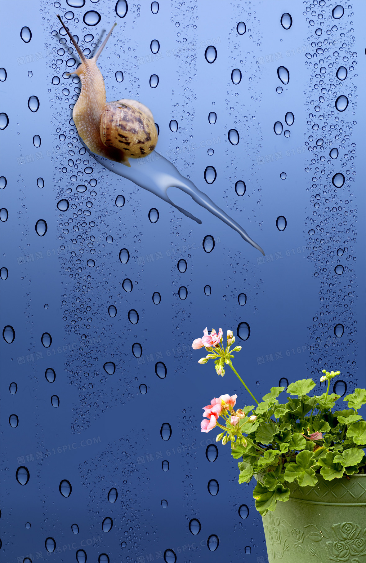 关键词:              雨滴背景雨水水珠蜗牛蓝色