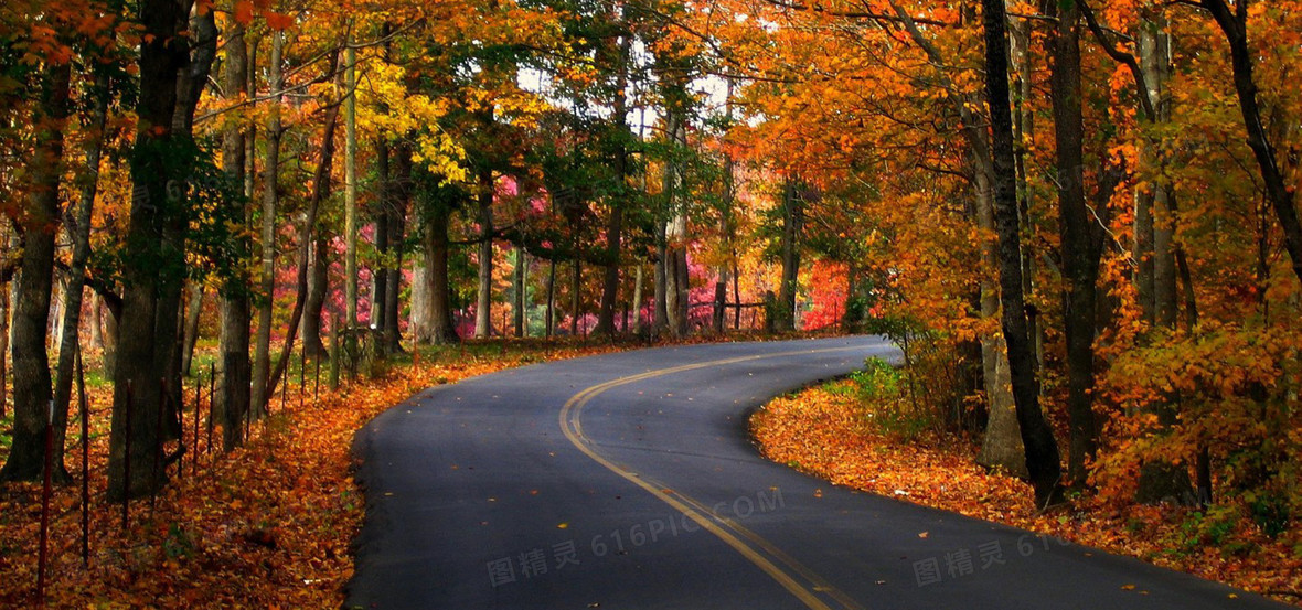 道路交通自然风光海报banner摄影风景 图精灵为您提供林间公路背景