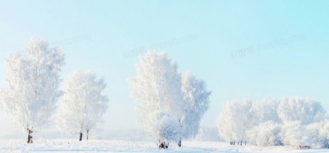 冬季雪景蓝天白云雾凇背景图