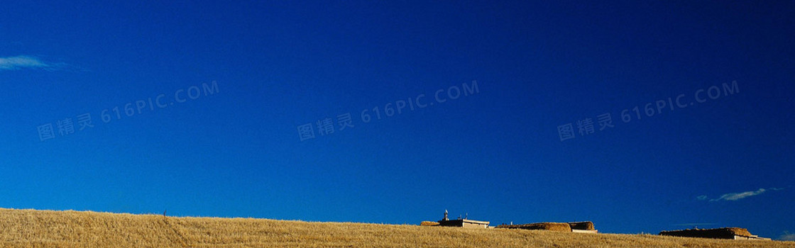 深蓝天空麦田背景