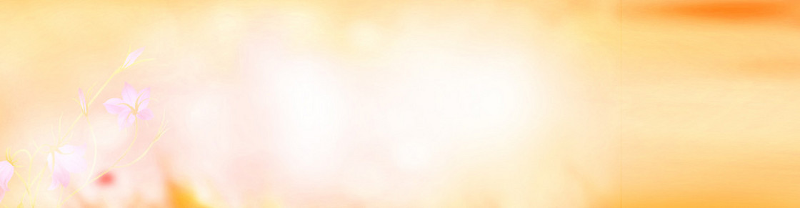 淘宝banner背景