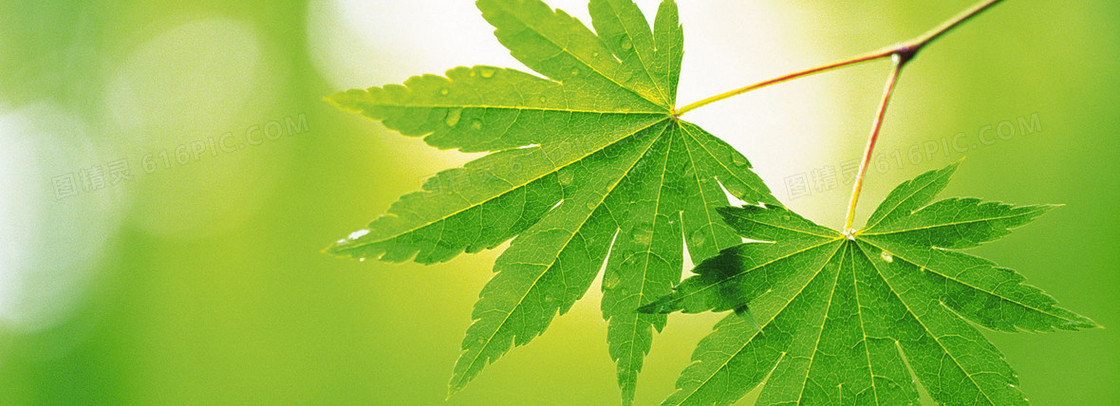 门户网站banner创意设计