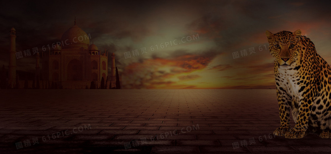 奢华男士手表背景banner