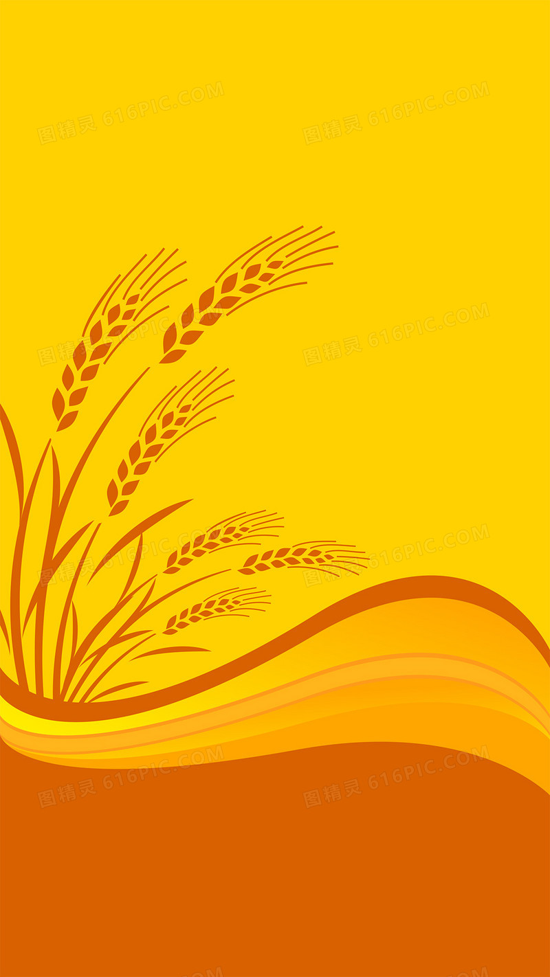 秋季黄色小麦H5背景素材