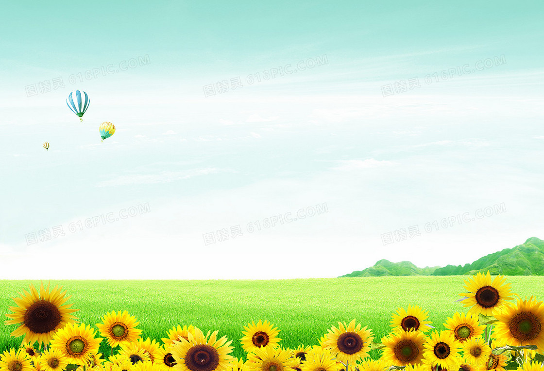清新蓝天白云绿草地向日葵热气球海报背景