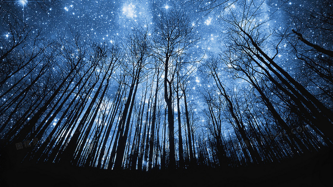 仰望夜空星空树林背景