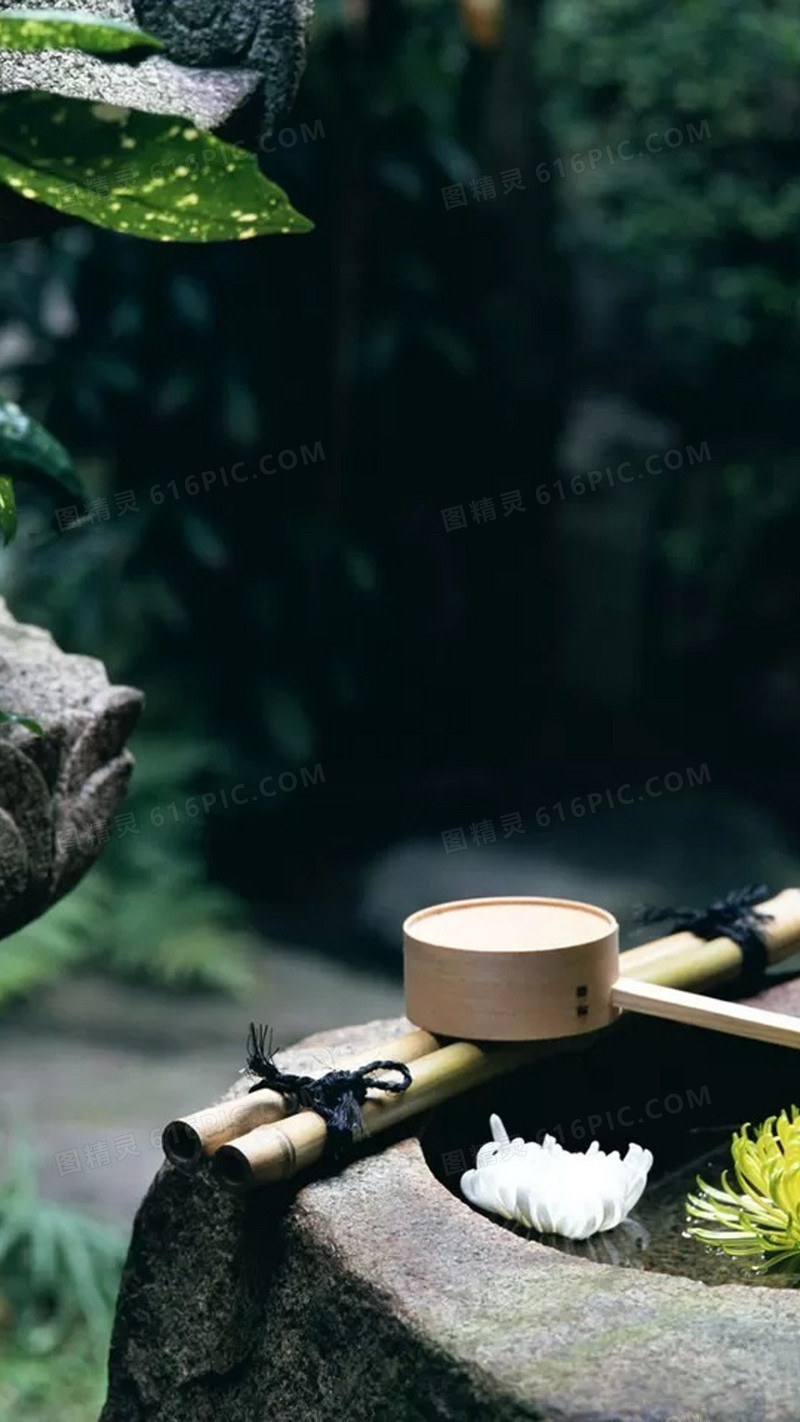 绿色治愈系背景
