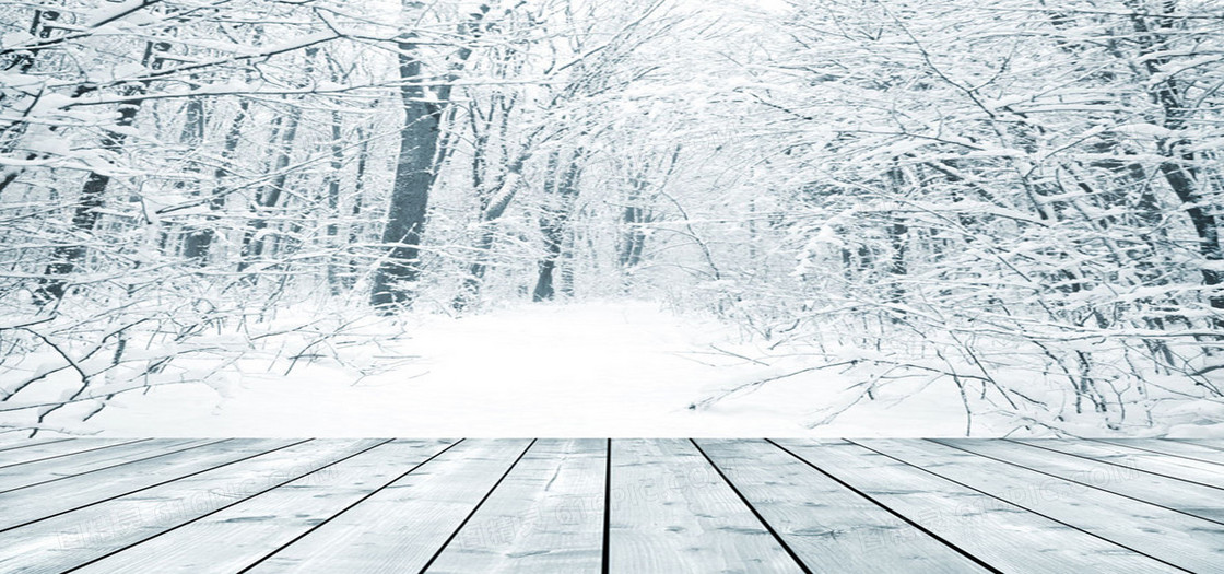 冬季树林里的雪花背景