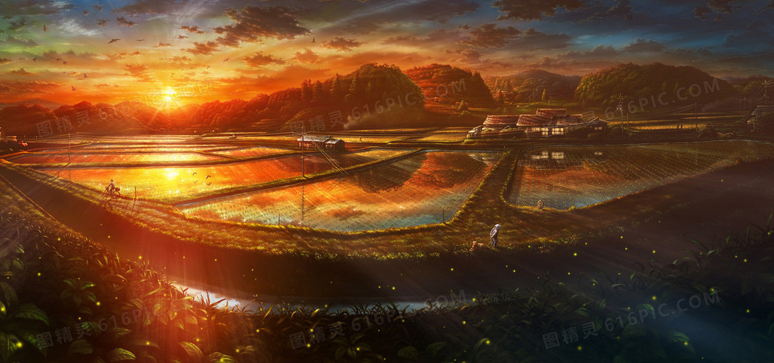 金色夕阳下的田地