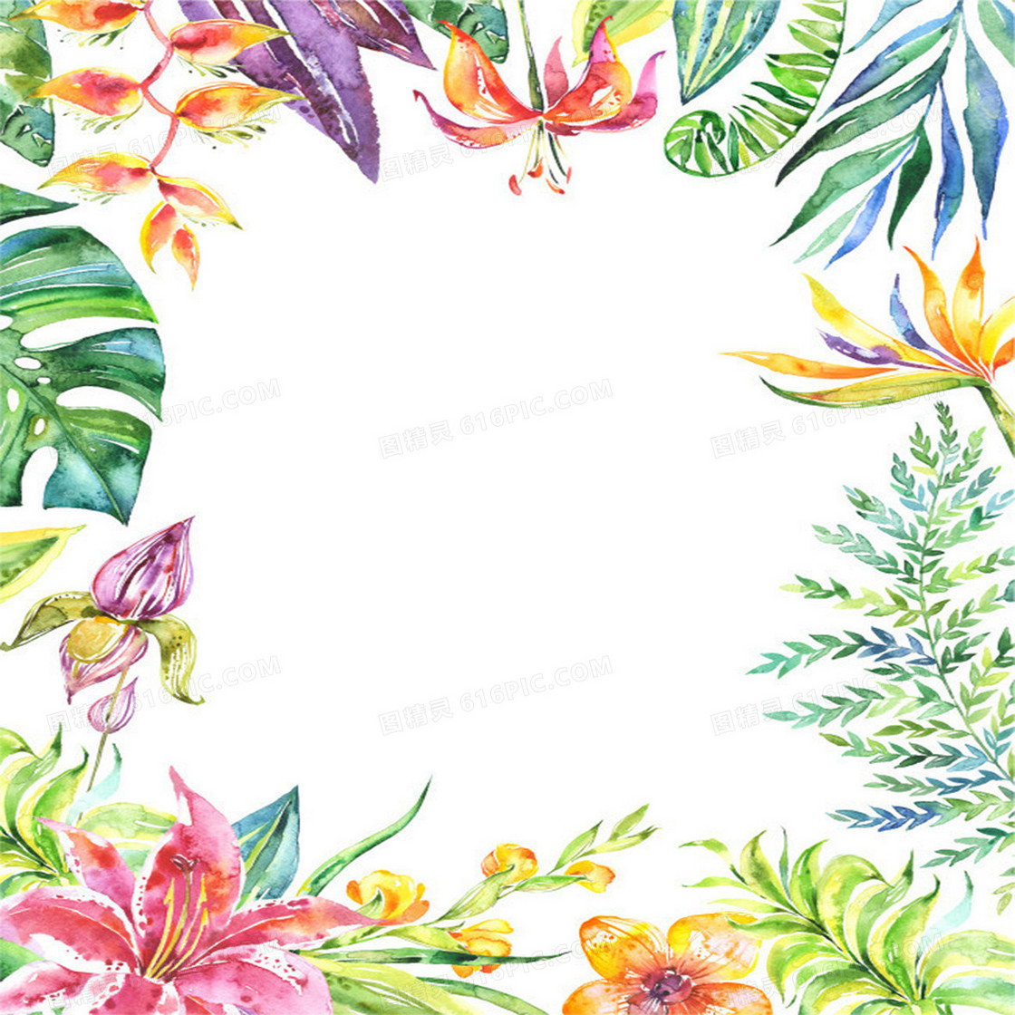 手绘彩色植物背景