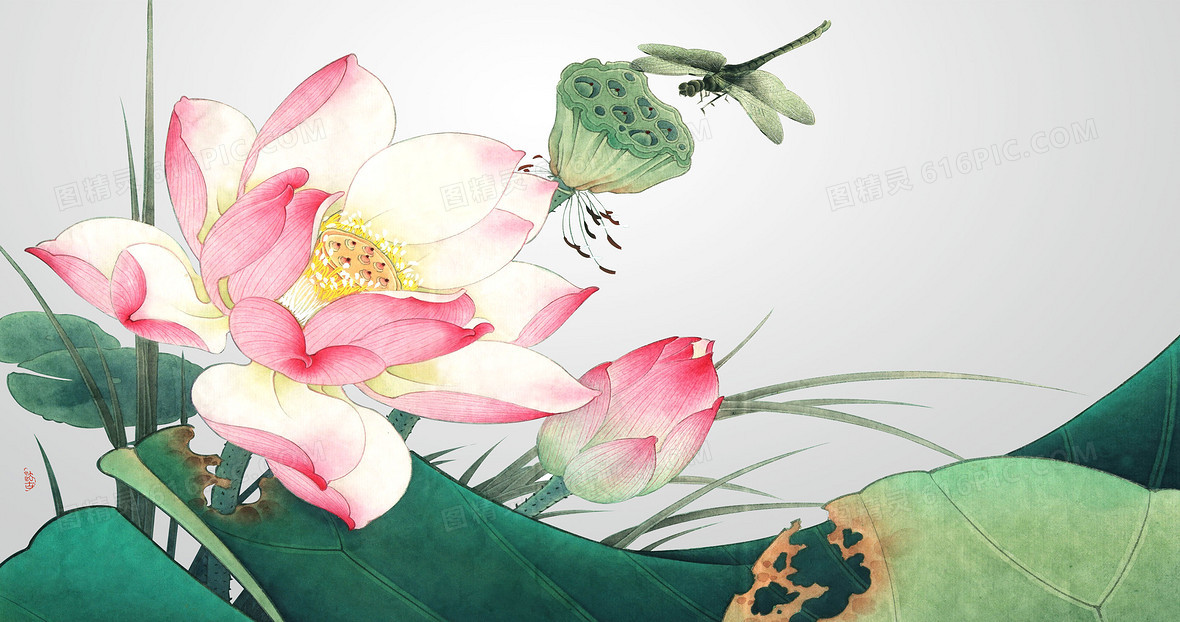 中国风手绘荷花与蜻蜓背景素材