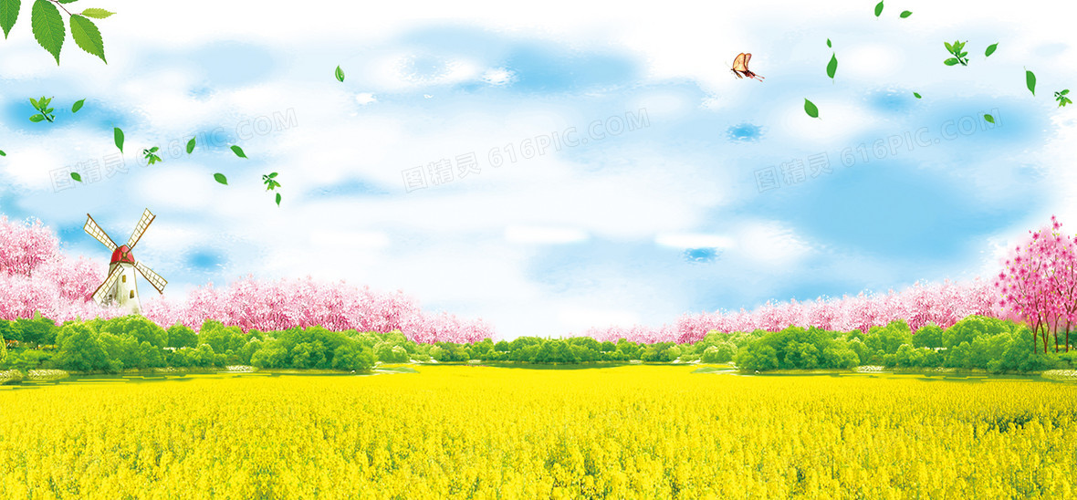 油菜花风景蓝天渐变景色蓝banner