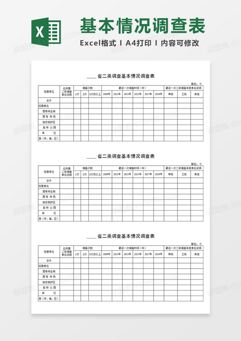 省二类调查基本情况调查表Excel模板