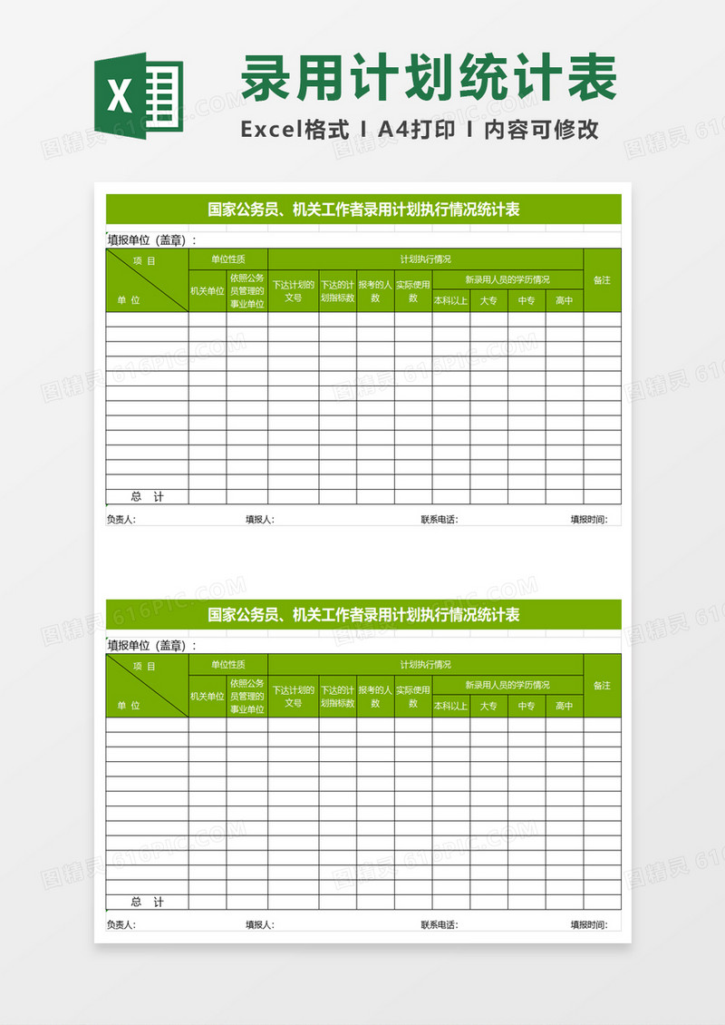 国家公务员机关工作者录用计划执行情况统计表excel模板