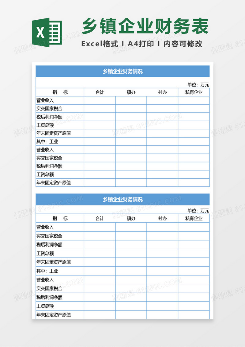 乡镇企业财务情况Excel模板