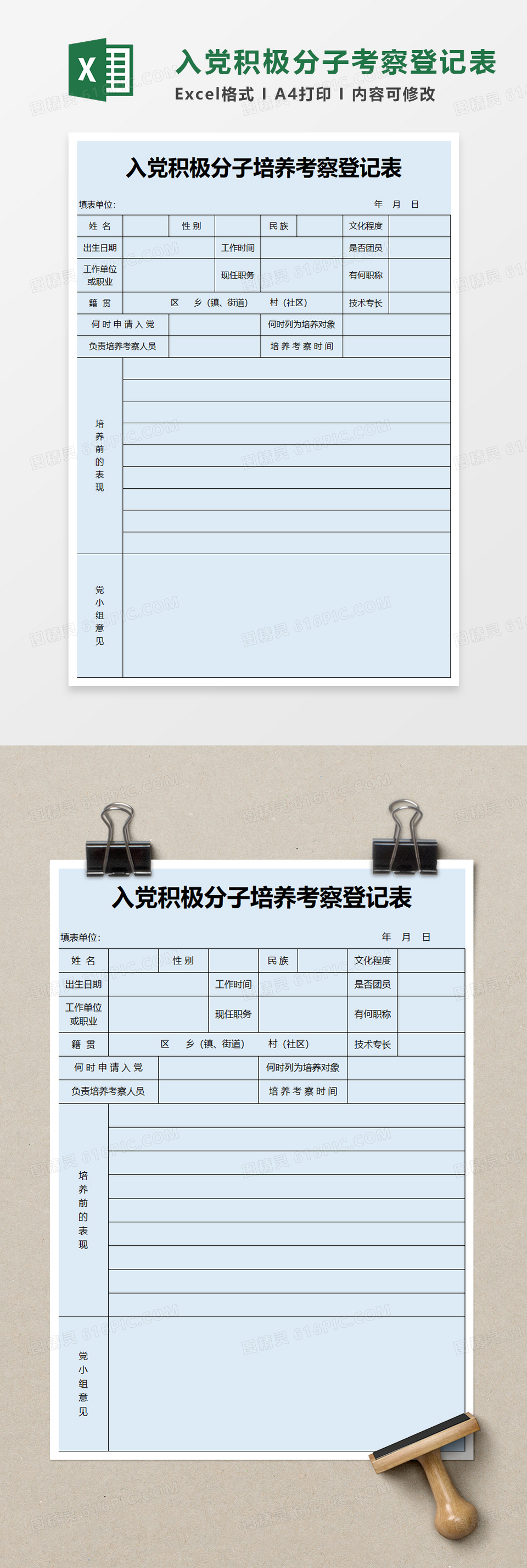 入党积极分子培养考察登记表excel模板