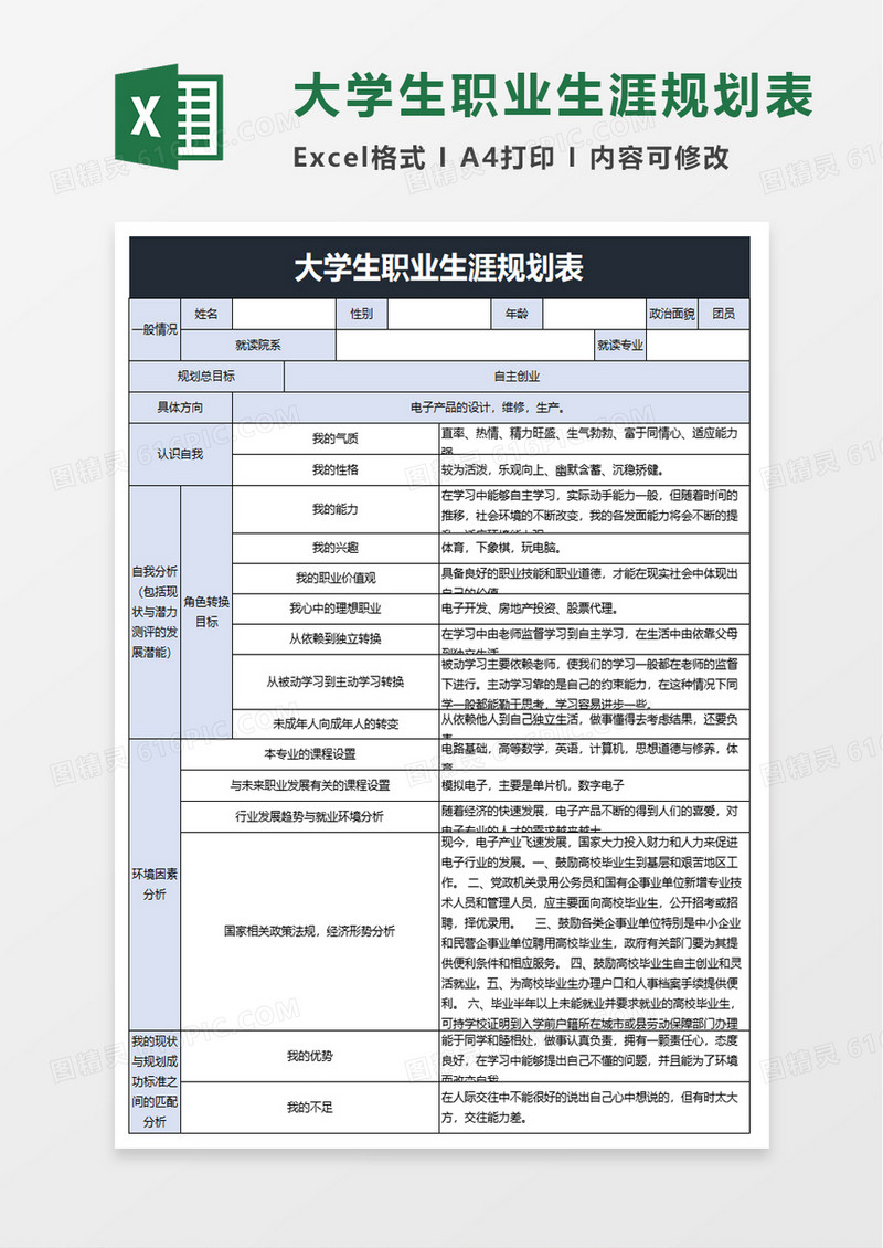 大学生职业生涯规划表excel模板