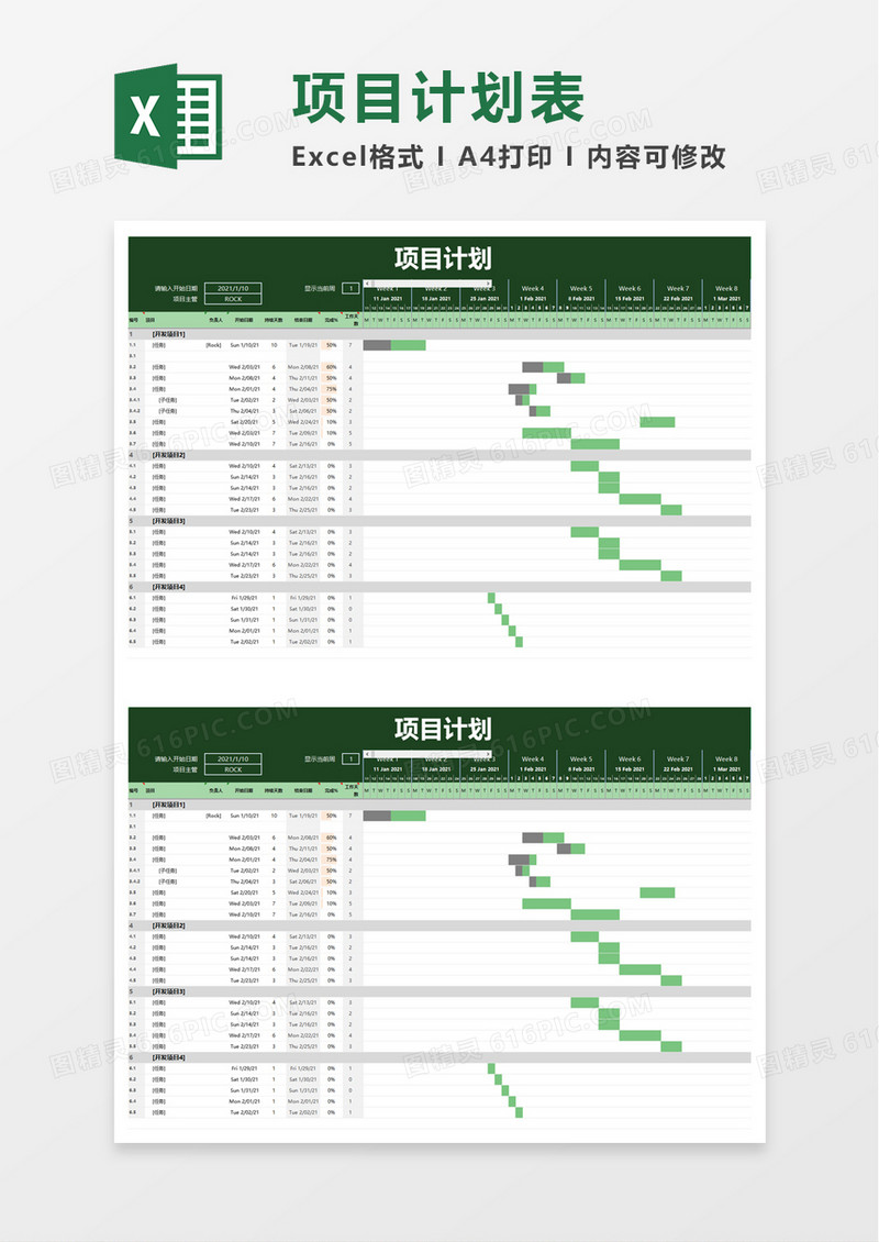 项目计划word模板