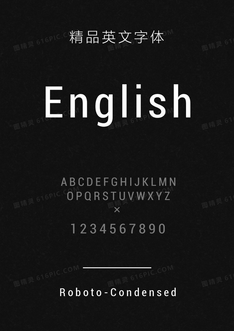 RobotoCondensed