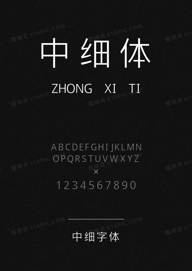 中细体