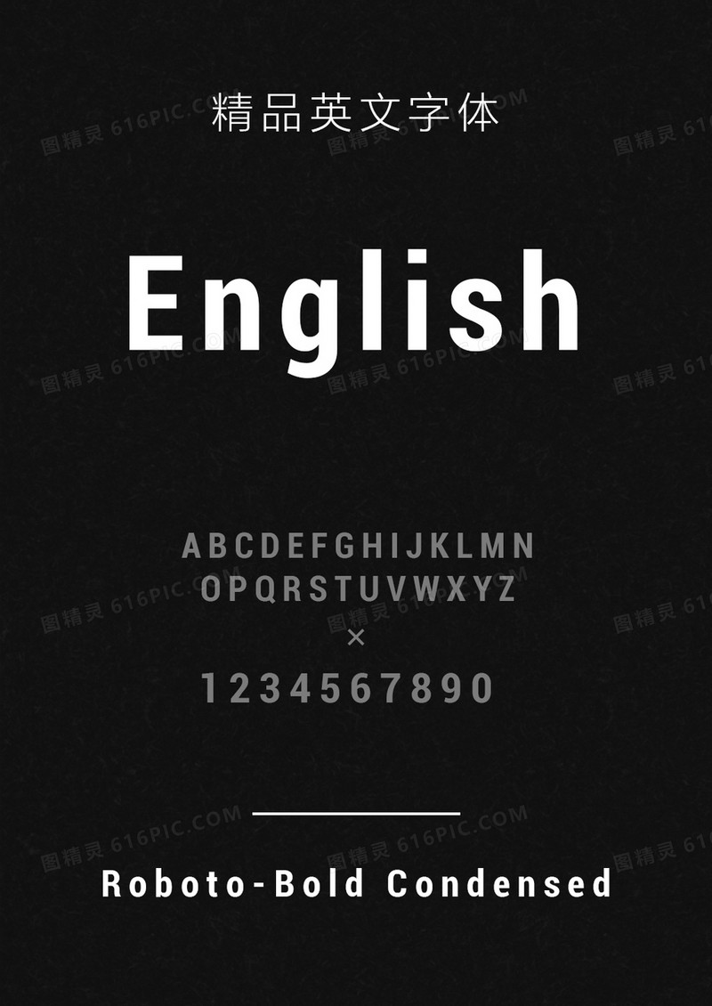 RobotoBoldCondensed