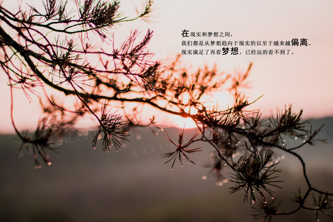 非主流个性文字图片 非主流个性文字图片大全