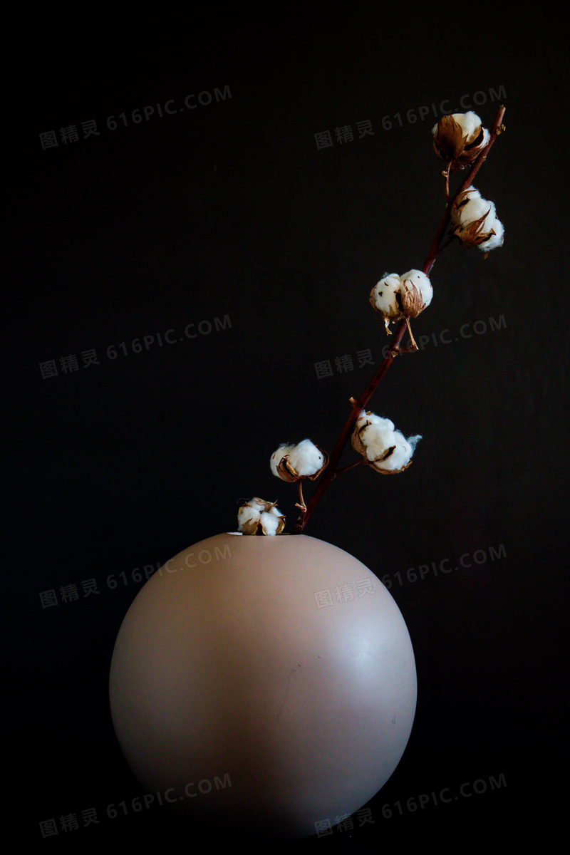 棉花干花装饰插花图片 棉花干花装饰插花图片欣赏