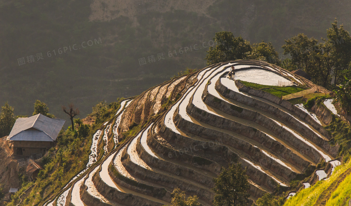 梯田风景区图片 梯田风景区图片大全