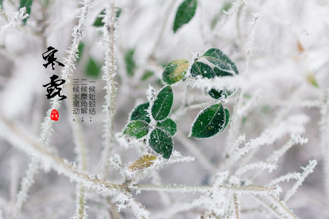 冬至节气图片