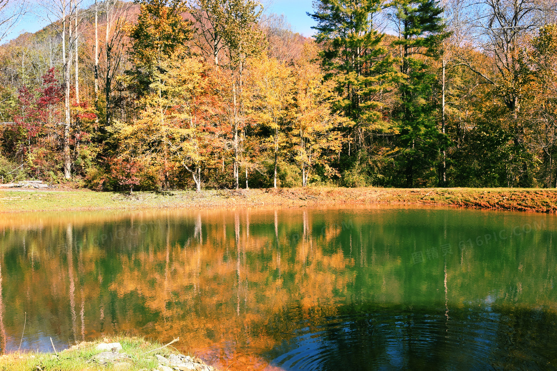 秋天树木湖泊景观图片