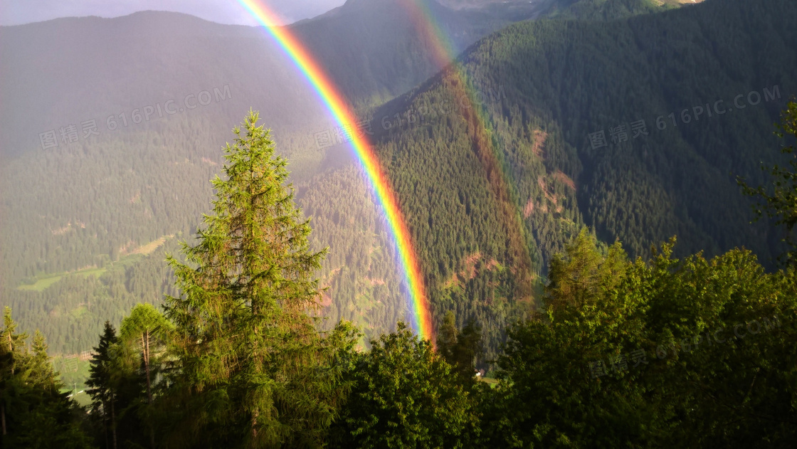 森林雨后彩虹图片