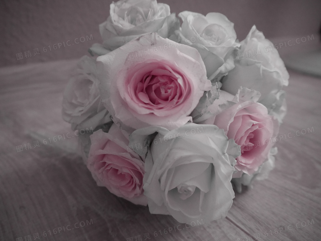 白色手捧玫瑰花束图片