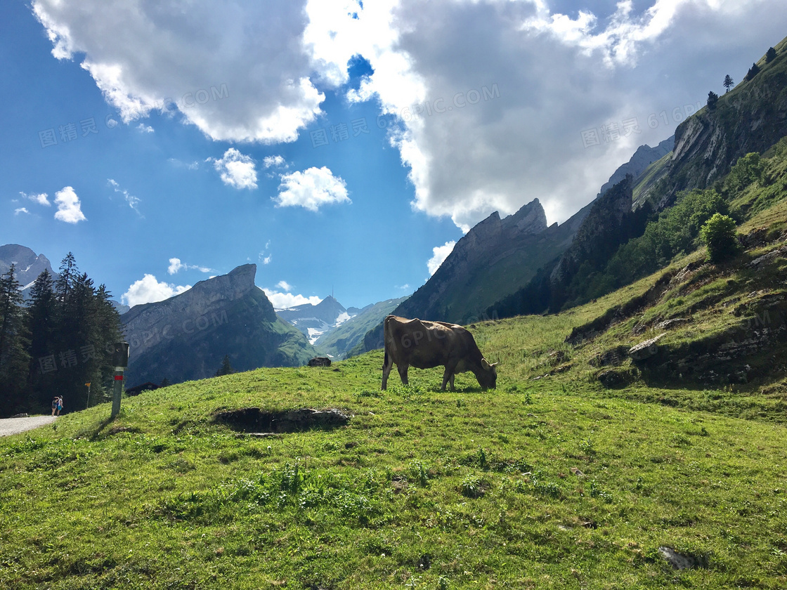 高原山地全景图片