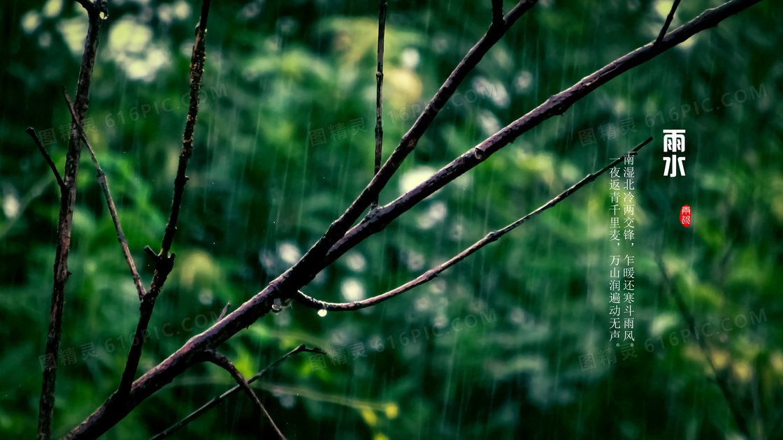 24节气雨水带字图片