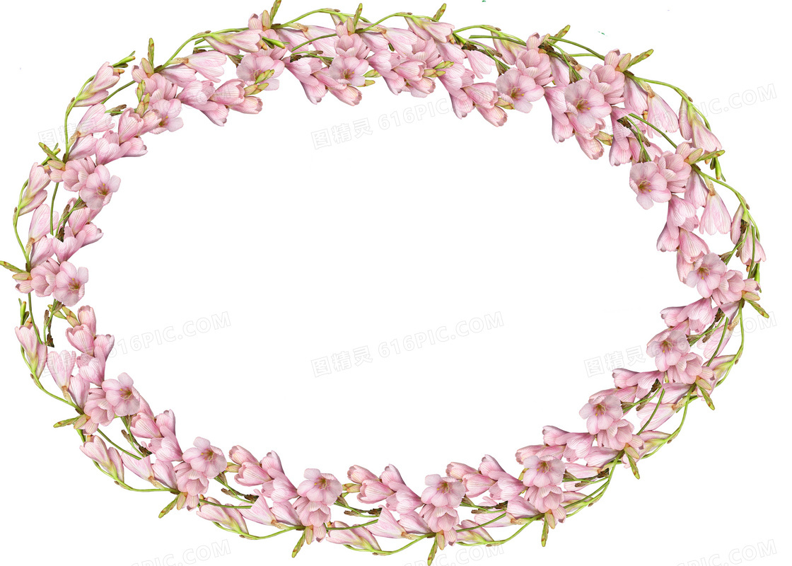 粉色花朵花边花框图片