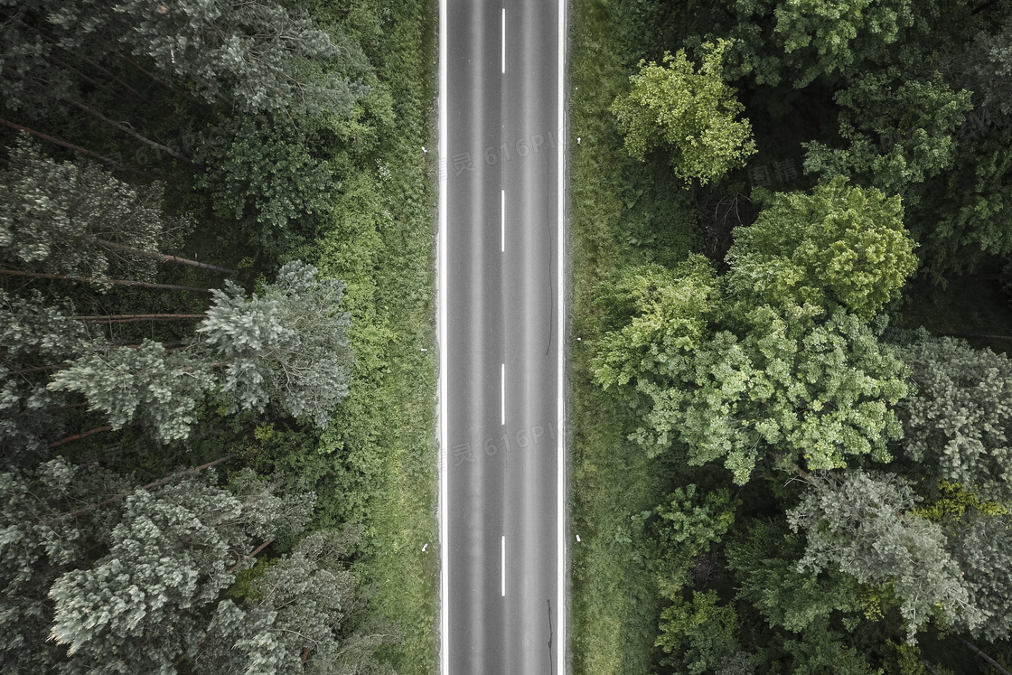 森林里的公路风景图片