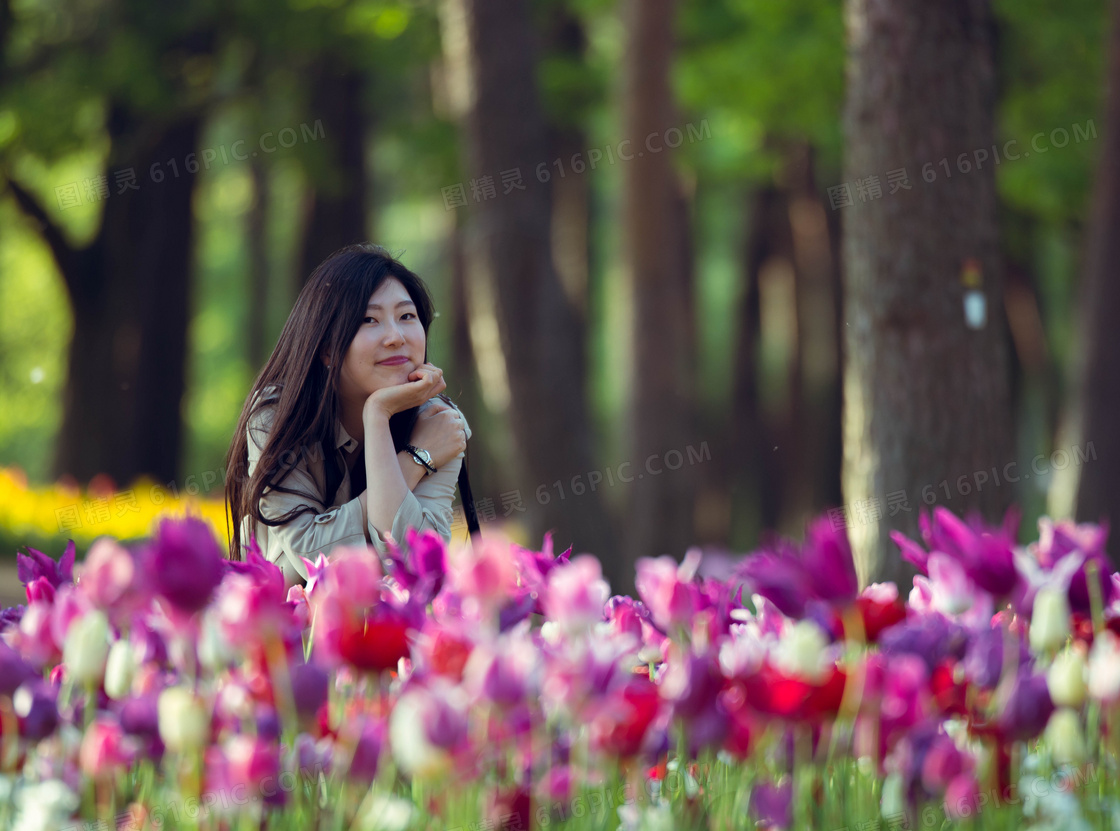 郁金香花海日本美女图片