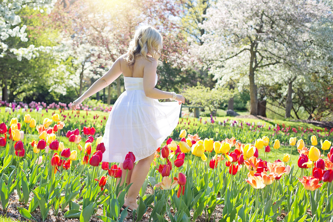 郁金香花海美女背影图片