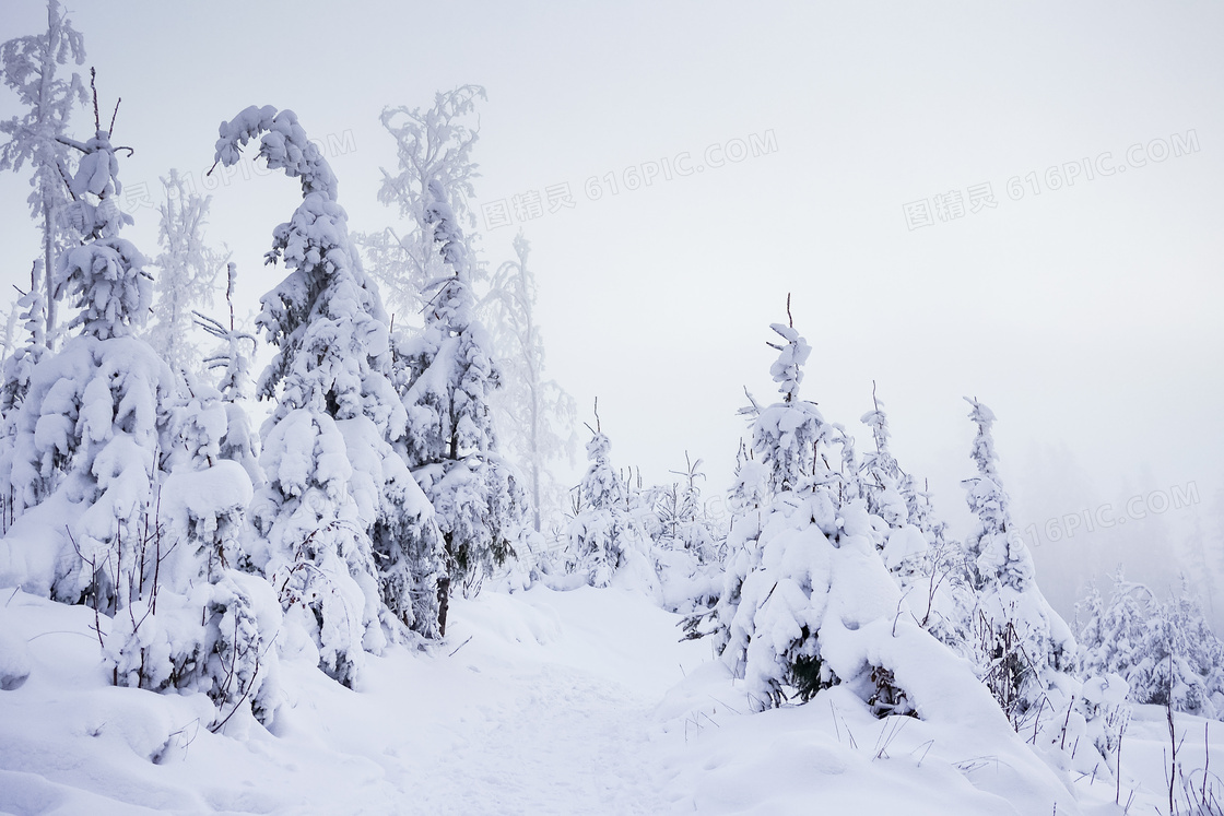 冬季雪地风景图片