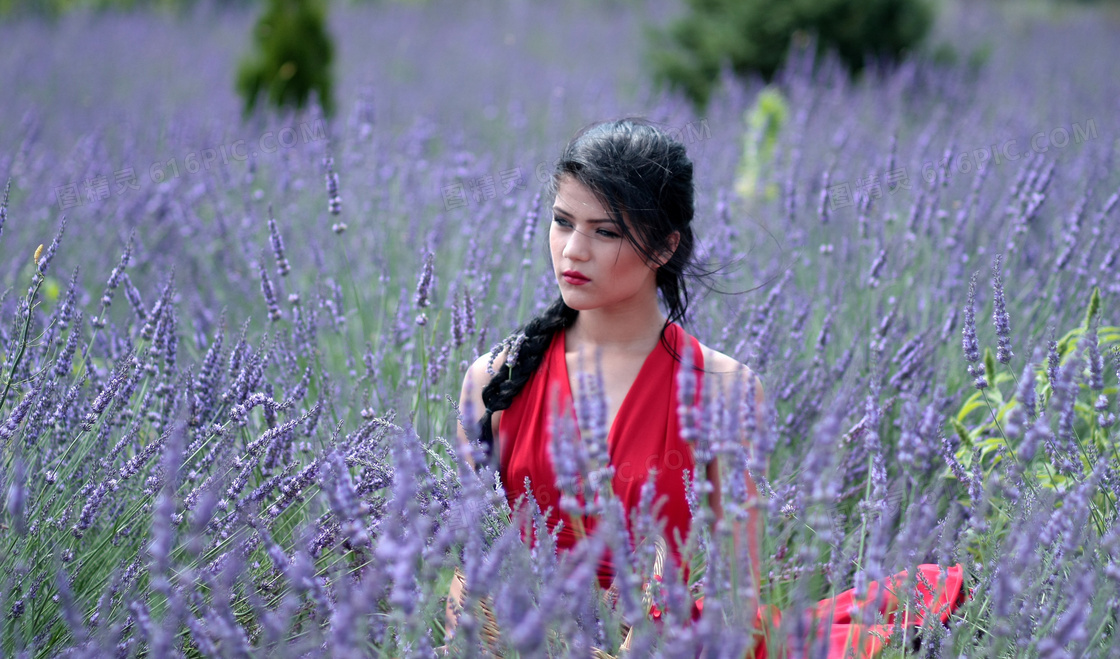 薰衣草美女唯美图片