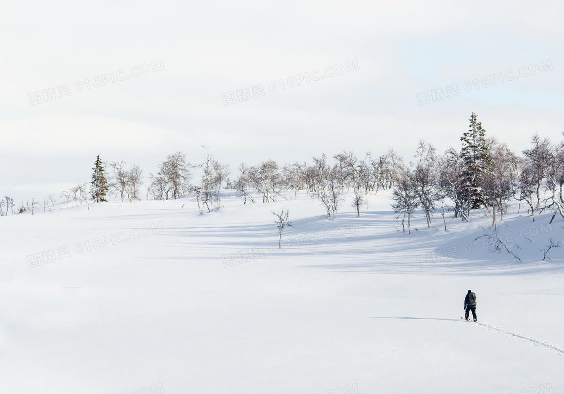 雪地滑雪图片